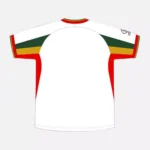 Maillot Domicile Sénégal 2002 - Niang Ballo